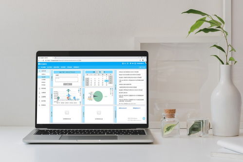 四川成都软件开发公司概览与行业动态